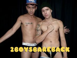 2BOYSBAREBACK