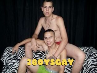 2BOYS_GAY