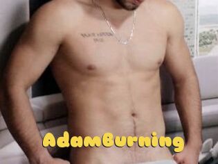 AdamBurning