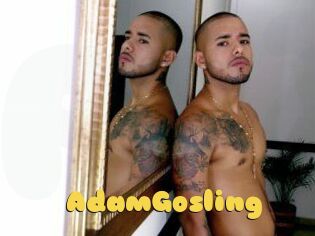 AdamGosling
