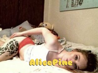 AlicePine