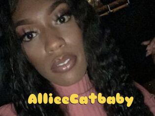 AllieeCatbaby