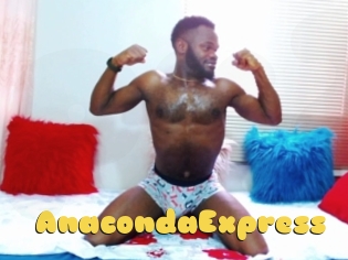 AnacondaExpress