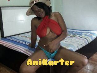 AniKarter