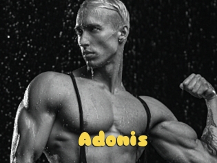 Adonis_