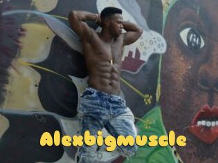 Alexbigmuscle