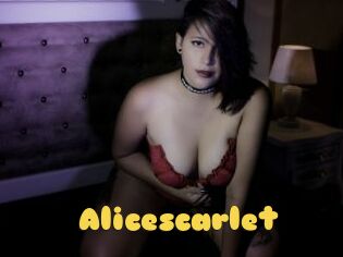 Alicescarlet