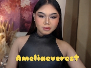 Ameliaeverest