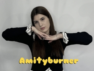 Amityburner