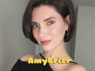 Amybrier