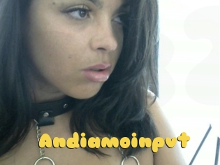 Andiamoinpvt