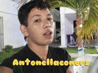 Antonellaconors