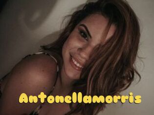 Antonellamorris