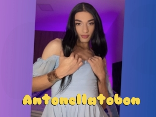 Antonellatobon