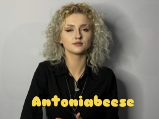 Antoniabeese