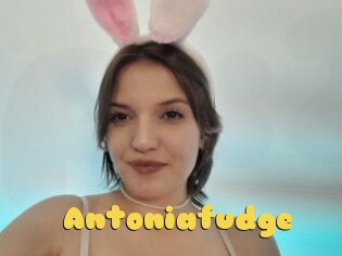 Antoniafudge