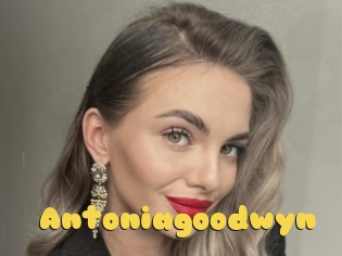 Antoniagoodwyn