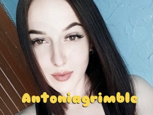 Antoniagrimble