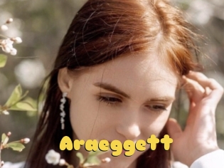 Araeggett