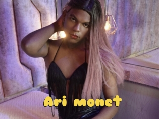 Ari_monet