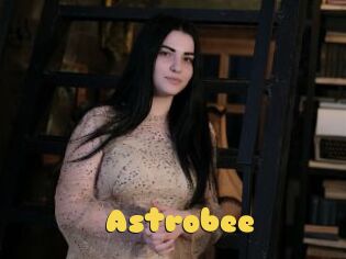 Astrobee