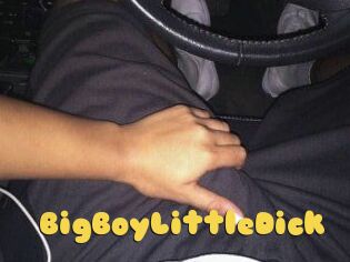 BigBoyLittleDick