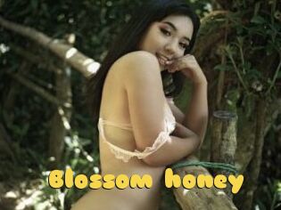 Blossom_honey