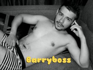 Barryboss