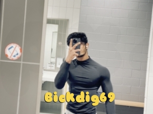 Bickdig69