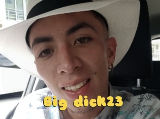 Big_dick23