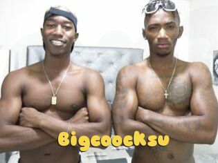Bigcoocksu