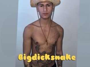 bigdicksnake Px24 Sexcam