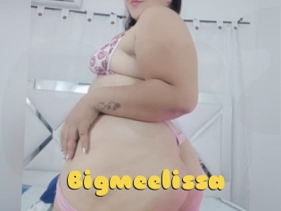 Bigmeelissa