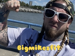 Bigmikesfit