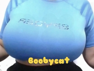 Boobycat