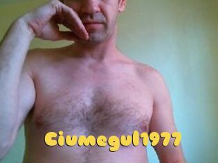 Ciumegul1977