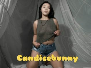 Candicebunny