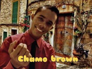 Chamo_brown