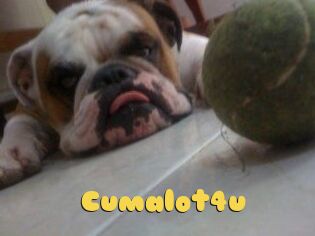 Cumalot4u