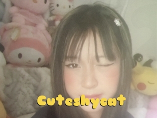 Cuteshycat