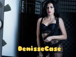 DenisseCase