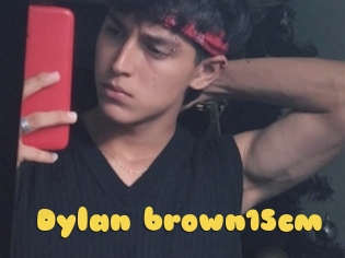 Dylan_brown15cm