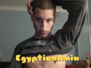 EgyptianAmin