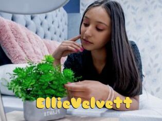 EllieVelvett