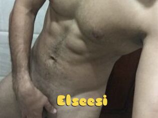 Elseesi