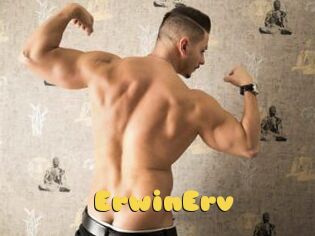 ErwinErv