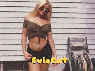 EvieCat