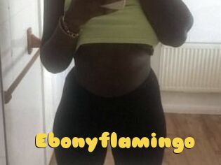 Ebony_flamingo