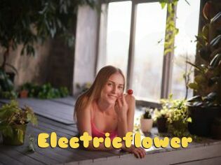 Electricflower