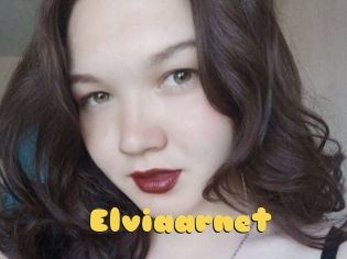 Elviaarnet